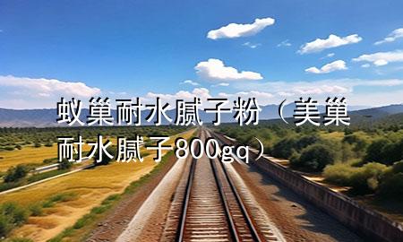 蚁巢耐水腻子粉（美巢耐水腻子800gq）