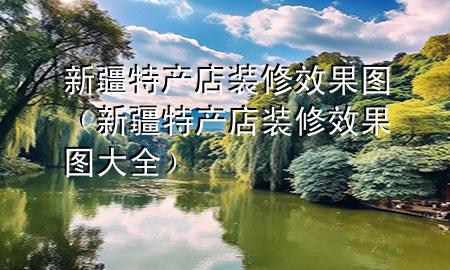 新疆特产店装修效果图（新疆特产店装修效果图大全）