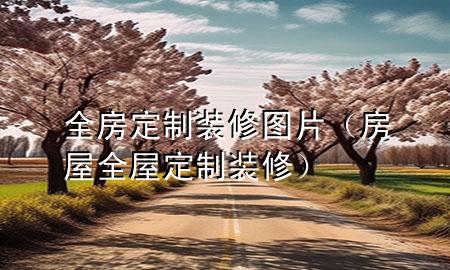 全房定制装修图片（房屋全屋定制装修）