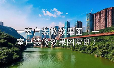 一室户装修效果图（一室户装修效果图隔断）