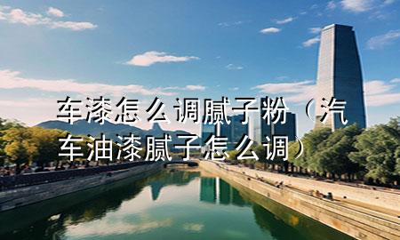 车漆怎么调腻子粉（汽车油漆腻子怎么调）