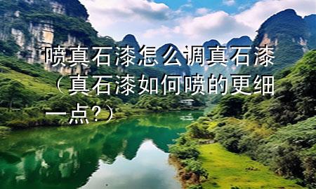 喷真石漆怎么调真石漆（真石漆如何喷的更细一点?）