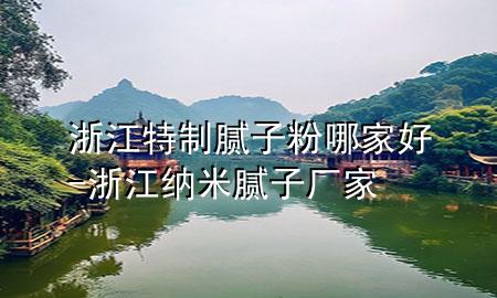 浙江特制腻子粉哪家好-浙江纳米腻子厂家