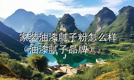 家装油漆腻子粉怎么样（油漆腻子品牌）