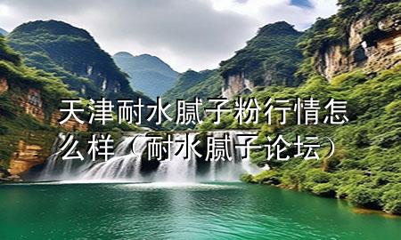天津耐水腻子粉行情怎么样（耐水腻子论坛）