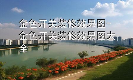 金色开关装修效果图-金色开关装修效果图大全
