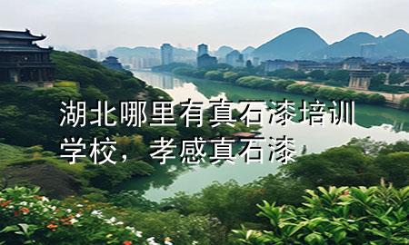 湖北哪里有真石漆培训学校，孝感真石漆