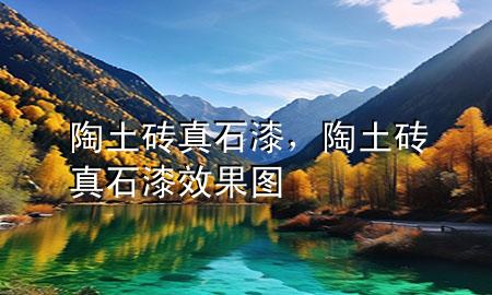 陶土砖真石漆，陶土砖真石漆效果图