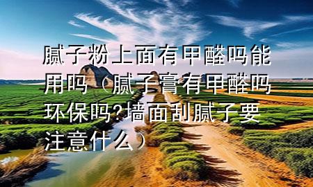 腻子粉上面有甲醛吗能用吗（腻子膏有甲醛吗环保吗?墙面刮腻子要注意什么）