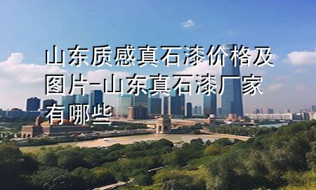 山东质感真石漆价格及图片-山东真石漆厂家有哪些
