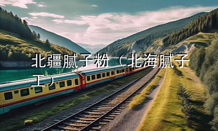 北疆腻子粉（北海腻子工）