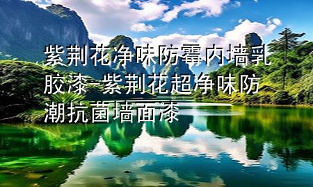 紫荆花净味防霉内墙乳胶漆-紫荆花超净味防潮抗菌墙面漆