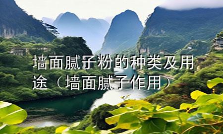 墙面腻子粉的种类及用途（墙面腻子作用）