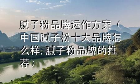 腻子粉品牌运作方案（中国腻子粉十大品牌怎么样,腻子粉品牌的推荐）