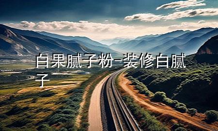 白果腻子粉-装修白腻子