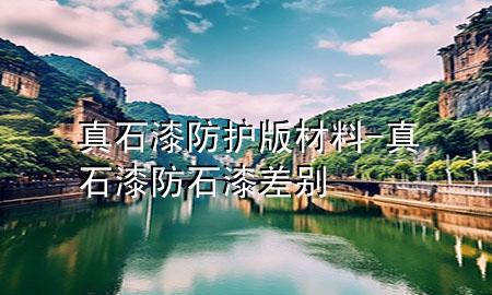 真石漆防护版材料-真石漆防石漆差别