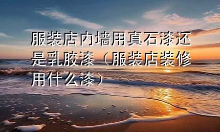 服装店内墙用真石漆还是乳胶漆（服装店装修用什么漆）