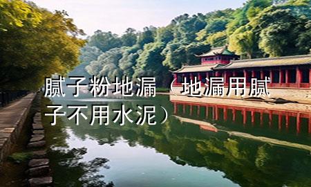 腻子粉 地漏（地漏用腻子不用水泥）