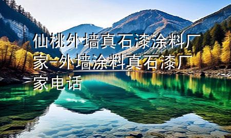 仙桃外墙真石漆涂料厂家-外墙涂料真石漆厂家电话