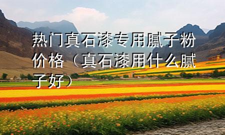 热门真石漆专用腻子粉价格（真石漆用什么腻子好）