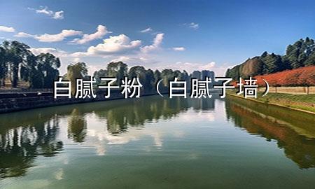 白腻子粉（白腻子墙）