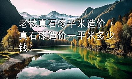 老楼真石漆平米造价（真石漆造价一平米多少钱）
