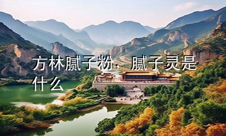 方林腻子粉，腻子灵是什么