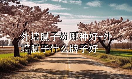 外墙腻子粉哪种好-外墙腻子什么牌子好
