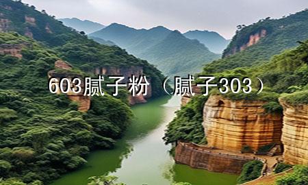 603腻子粉（腻子 303）