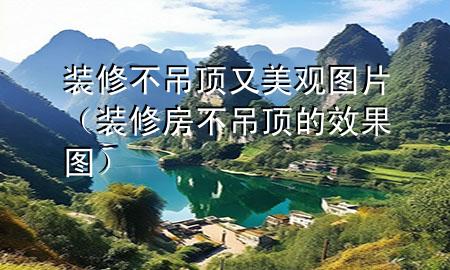装修不吊顶又美观图片（装修房不吊顶的效果图）