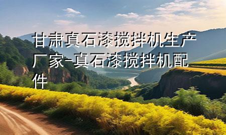 甘肃真石漆搅拌机生产厂家-真石漆搅拌机配件