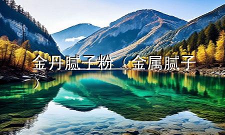 金丹腻子粉（金属腻子）