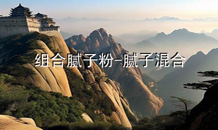 组合腻子粉-腻子混合