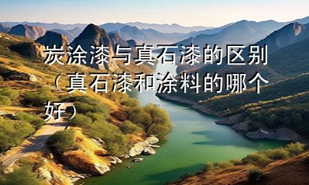 炭涂漆与真石漆的区别（真石漆和涂料的哪个好）