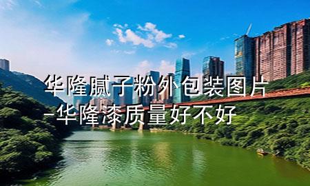 华隆腻子粉外包装图片-华隆漆质量好不好
