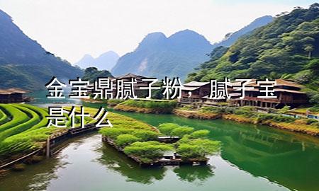 金宝鼎腻子粉，腻子宝是什么