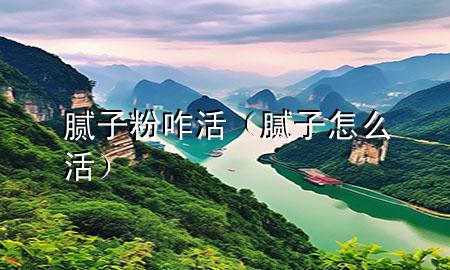 腻子粉咋活（腻子怎么活）