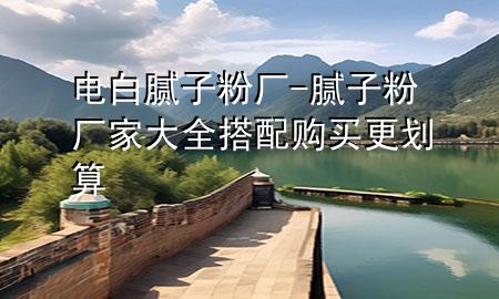 电白腻子粉厂-腻子粉厂家大全 搭配购买更划算