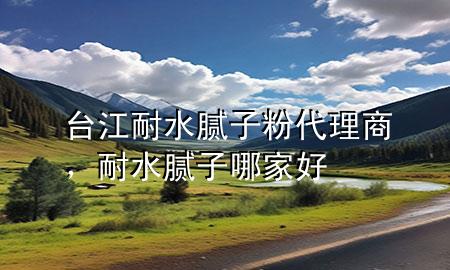 台江耐水腻子粉代理商，耐水腻子哪家好