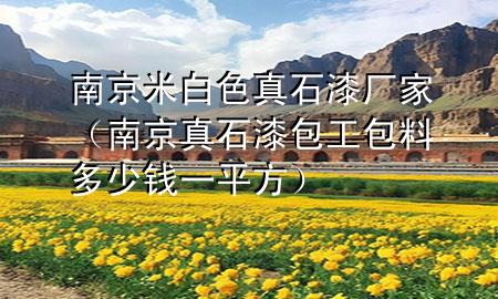南京米白色真石漆厂家（南京真石漆包工包料多少钱一平方）