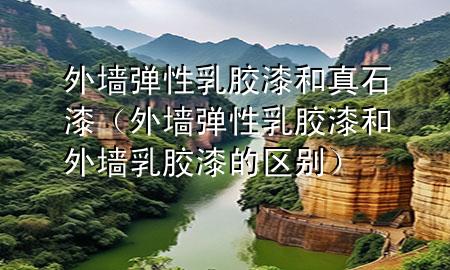 外墙弹性乳胶漆和真石漆（外墙弹性乳胶漆和外墙乳胶漆的区别）