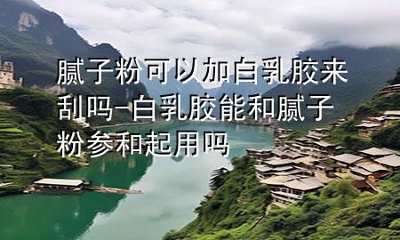 腻子粉可以加白乳胶来刮吗-白乳胶能和腻子粉参和起用吗
