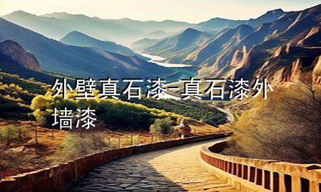 外壁真石漆-真石漆 外墙漆