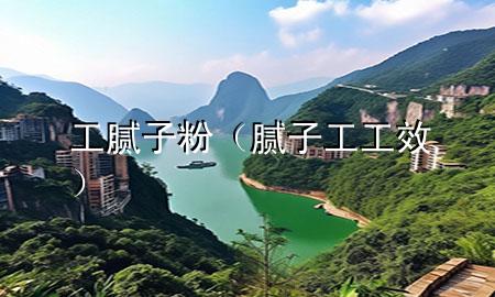 工 腻子粉（腻子工工效）