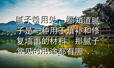 腻子粉用处，都知道腻子是一种用于填补和修复墙面的材料。那腻子常见的用途都有哪...