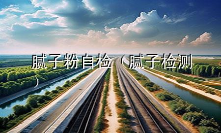 腻子粉自检（腻子检测）