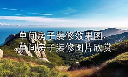单间房子装修效果图，单间房子装修图片欣赏