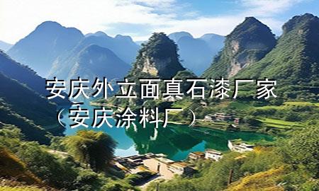 安庆外立面真石漆厂家（安庆涂料厂）