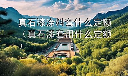真石漆涂料套什么定额（真石漆套用什么定额）