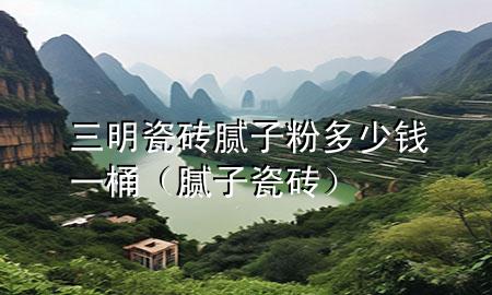 三明瓷砖腻子粉多少钱一桶（腻子 瓷砖）